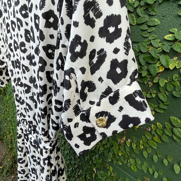 Fabienne Chapot | Brizo Leopard Dress | Size 6/8 - Picture 14 of 15